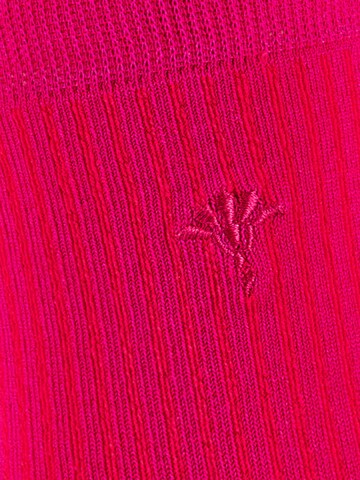 JOOP! Socken in Pink