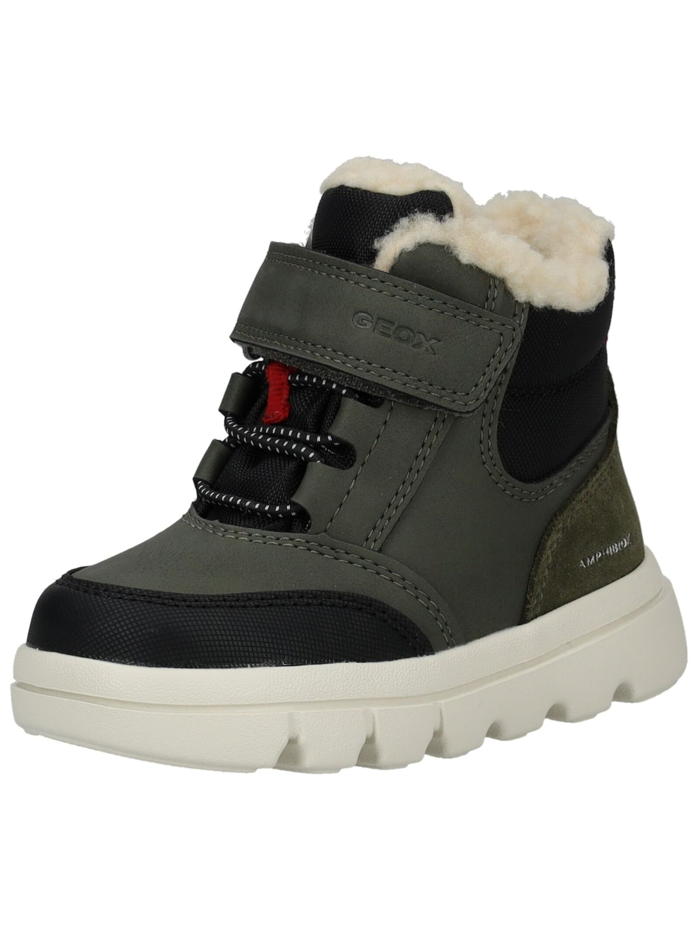 GEOX Stiefelette in Grün: Vorderseite