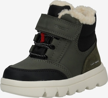 GEOX Stiefelette in Grün: Vorderseite