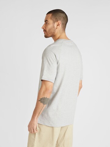 ADIDAS ORIGINALS Bluser & t-shirts i grå