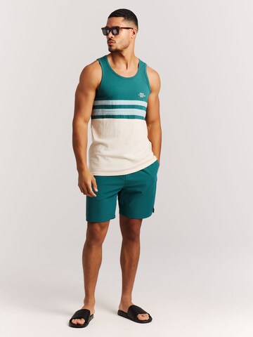 PROTEST Shirt 'PRTIspa' in Green