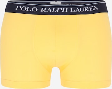 Polo Ralph Lauren Boxer shorts in Mixed colors