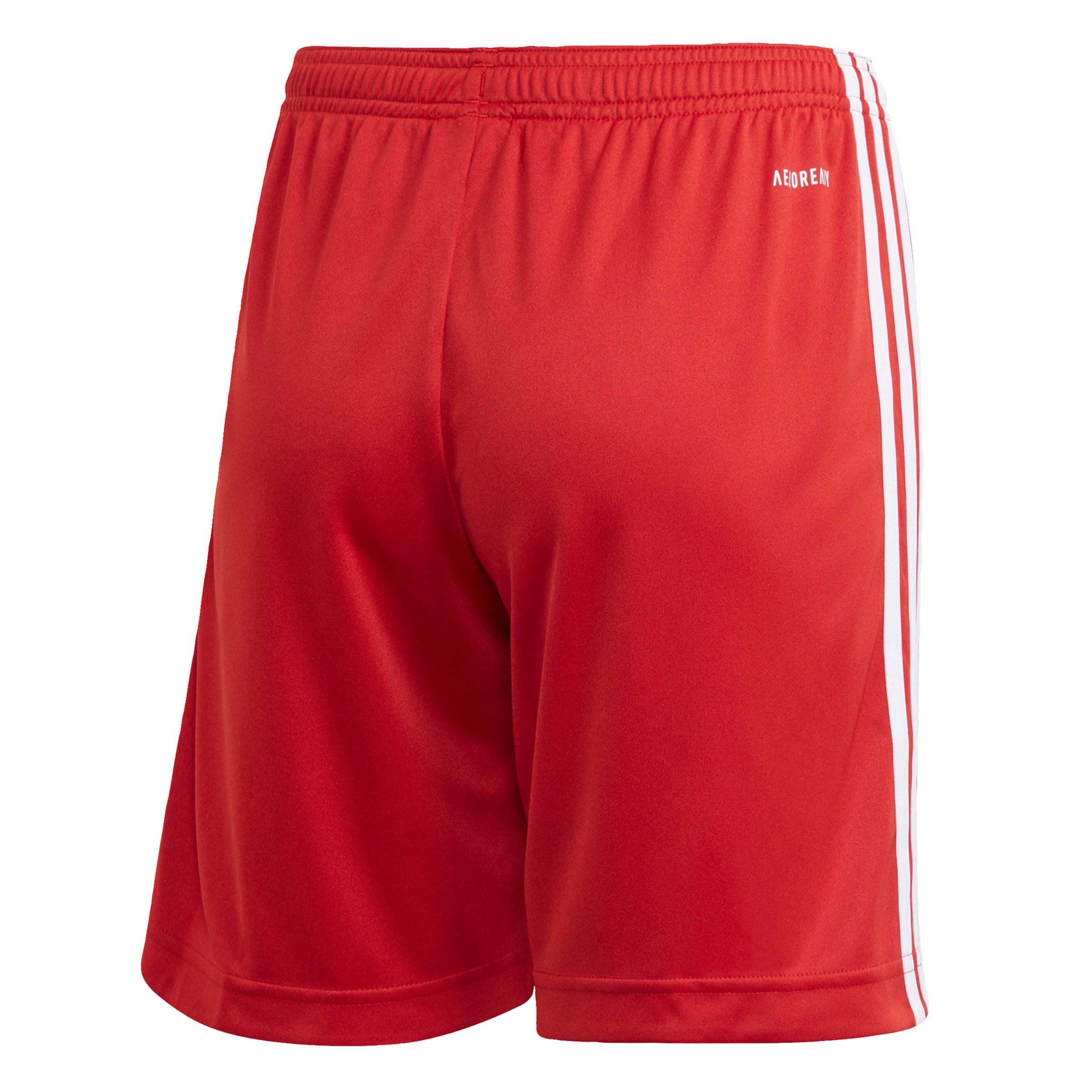 ADIDAS PERFORMANCE Regular Sportbroek 'FC Bayern München' in Rood