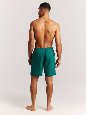 PROTEST Badeshorts 'PRTFilby'‌‌ in Grün