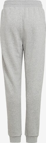 Tapered Pantaloni 'Adicolor' di ADIDAS ORIGINALS in grigio