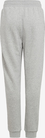 ADIDAS ORIGINALS Pants in Grey