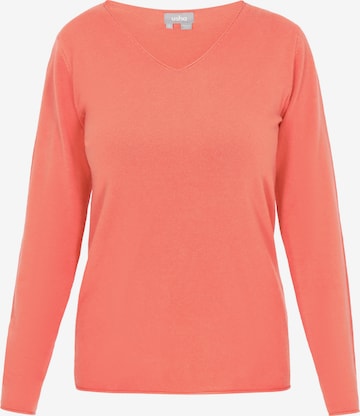 oranžs Usha Džemperis: no priekšpuses