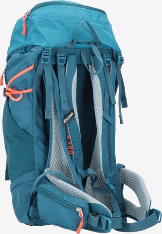 SALEWA Sports Backpack 'Alp Trainer' in Blue