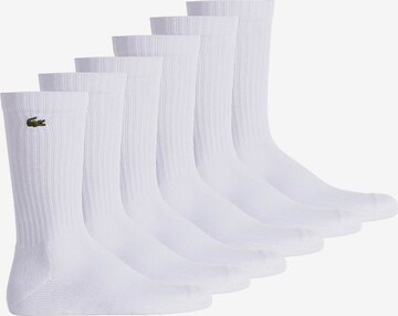 LACOSTE Socks in White: front