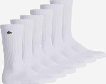 Chaussettes LACOSTE en blanc : devant