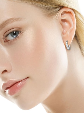 Maxte Earrings in Silver: front