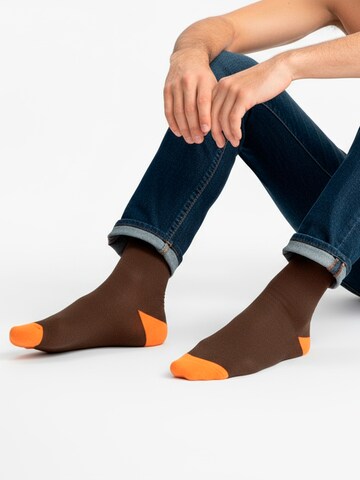 Chaussettes 'GAEA EDITION Gift box 4 Pack Unisex' The Arctic Bay en mélange de couleurs