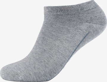 camano Socks in Grey