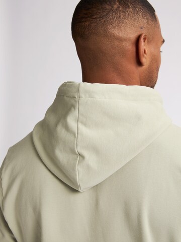 Petrol Industries Sweatshirt 'Driftwood' in Green