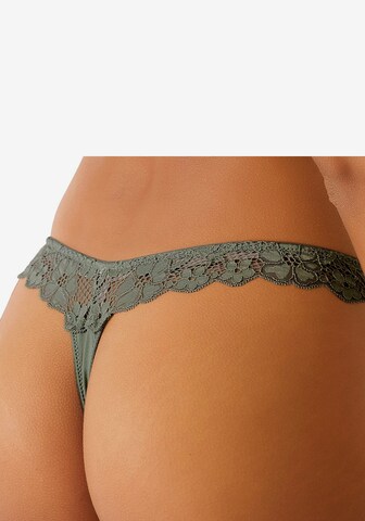 PETITE FLEUR Tanga – zelená