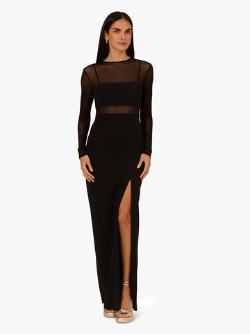 Adrianna Papell Abendkleid in Schwarz: Vorderseite