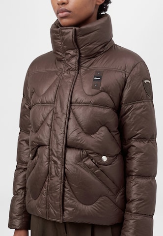 Blauer.USA Зимняя куртка в Коричневый