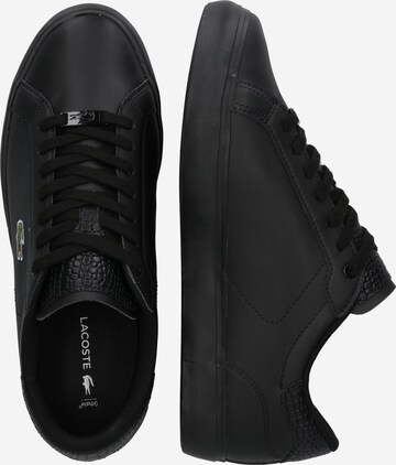 LACOSTE Sneaker 'Powercourt' in Schwarz