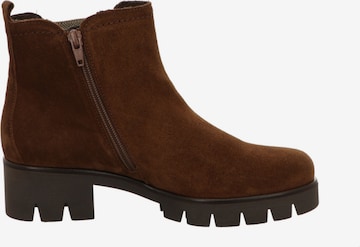 GABOR Chelsea boots in Bruin