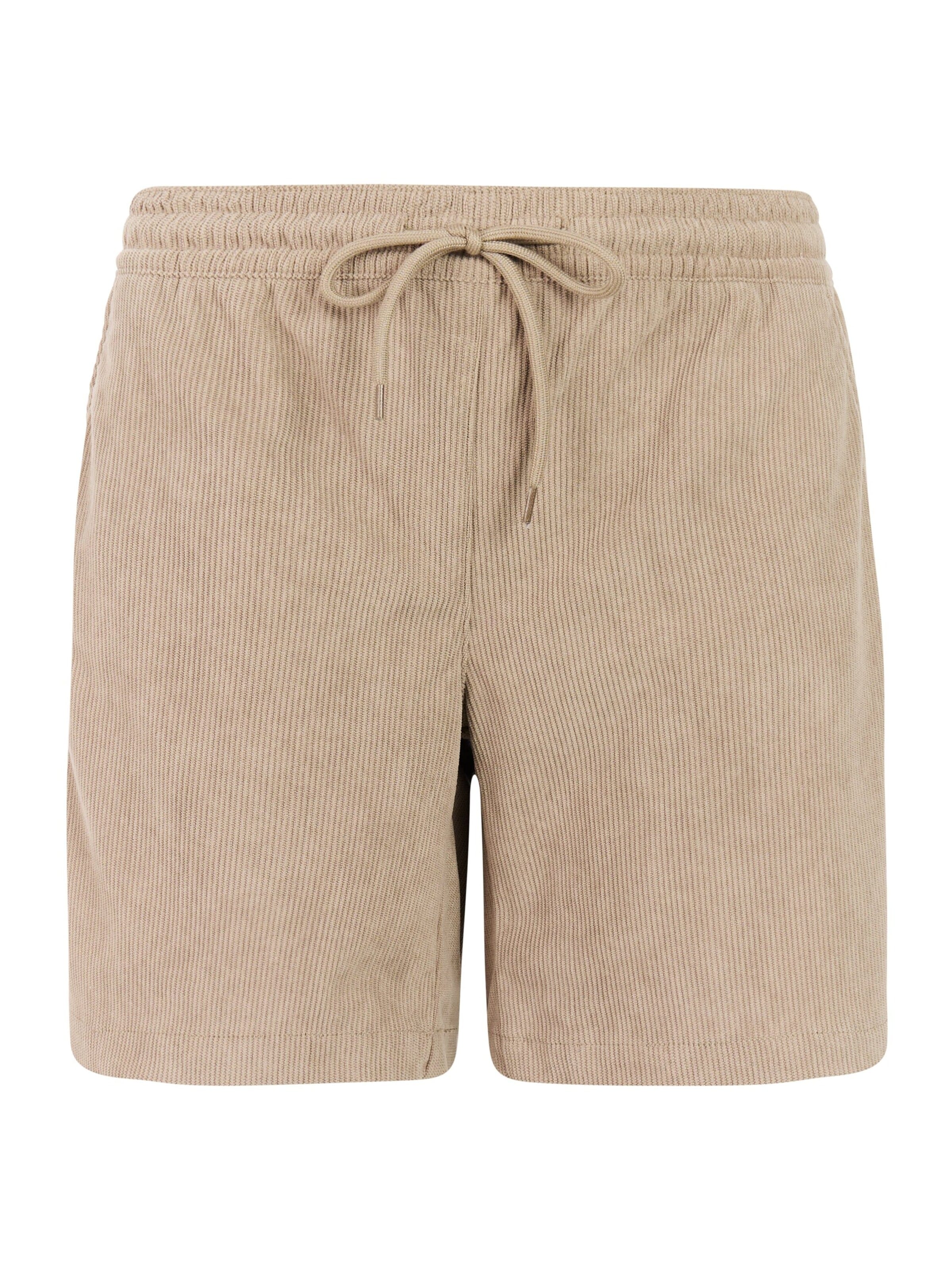 Regular Pantalon 'PRTNatty' PROTEST en marron : devant