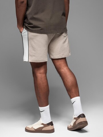 Ombre Regular Broek in Beige