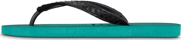 Uzurii Luxury Footwear Zehentrenner 'Python' in Grün: Vorderseite
