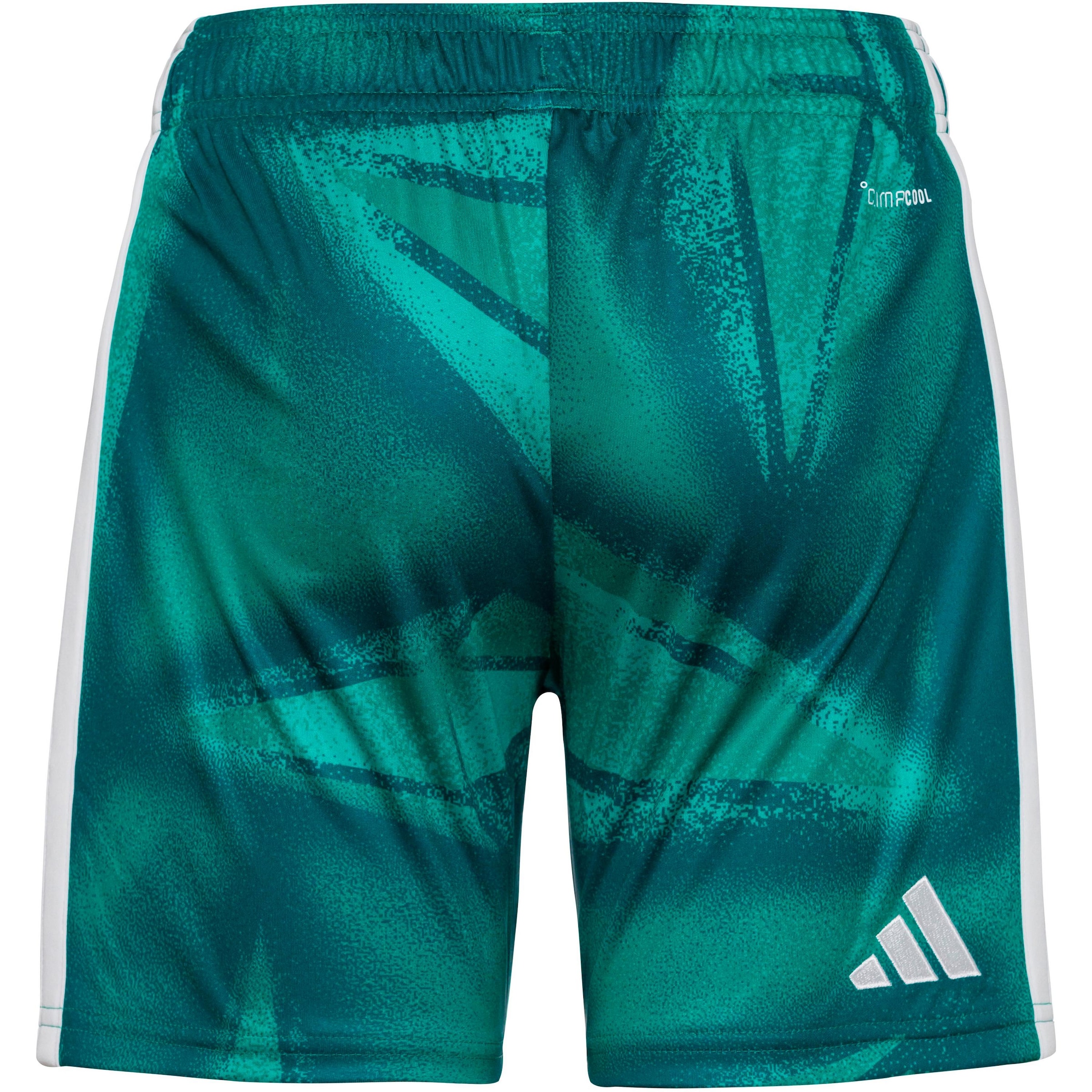 žalia ADIDAS PERFORMANCE Standartinis Sportinės kelnės 'DFB Torwart Home'