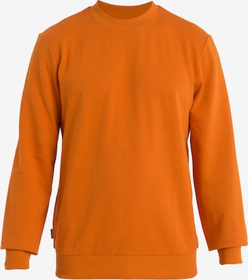 ICEBREAKER - Sudadera 'Central II' en naranja: frente