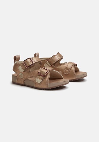 TIMBERLAND Sandal 'Backstrap Sandal' in Blue