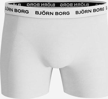 BJÖRN BORG Boxershorts in Gemengde kleuren