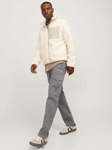 JACK & JONES Loosefit Cargobroek 'JJKarl Harlow' in Grijs