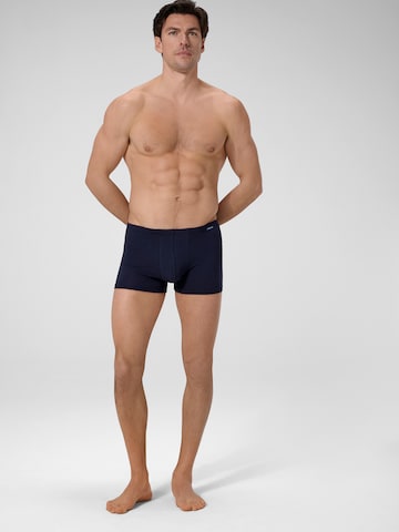 Ammann Boxer shorts ' Cotton & More ' in Blue: front