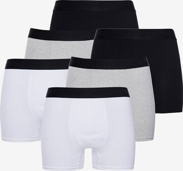 Superdry Boxershorts in Grau: predná strana