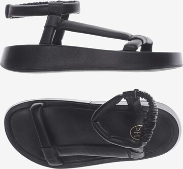 ASH Sandalen 37 in Schwarz: predná strana