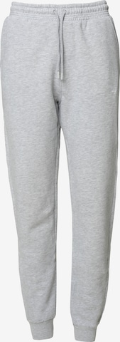 BIG STAR Pants 'FOXIE' in Grey: front
