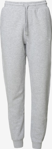 BIG STAR Tapered Trousers 'FOXIE' in Grey: front
