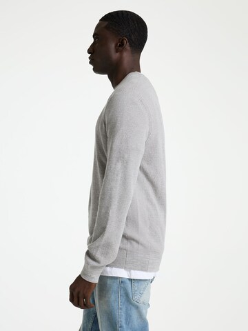 CHASIN' Trui 'Basal' in Grijs