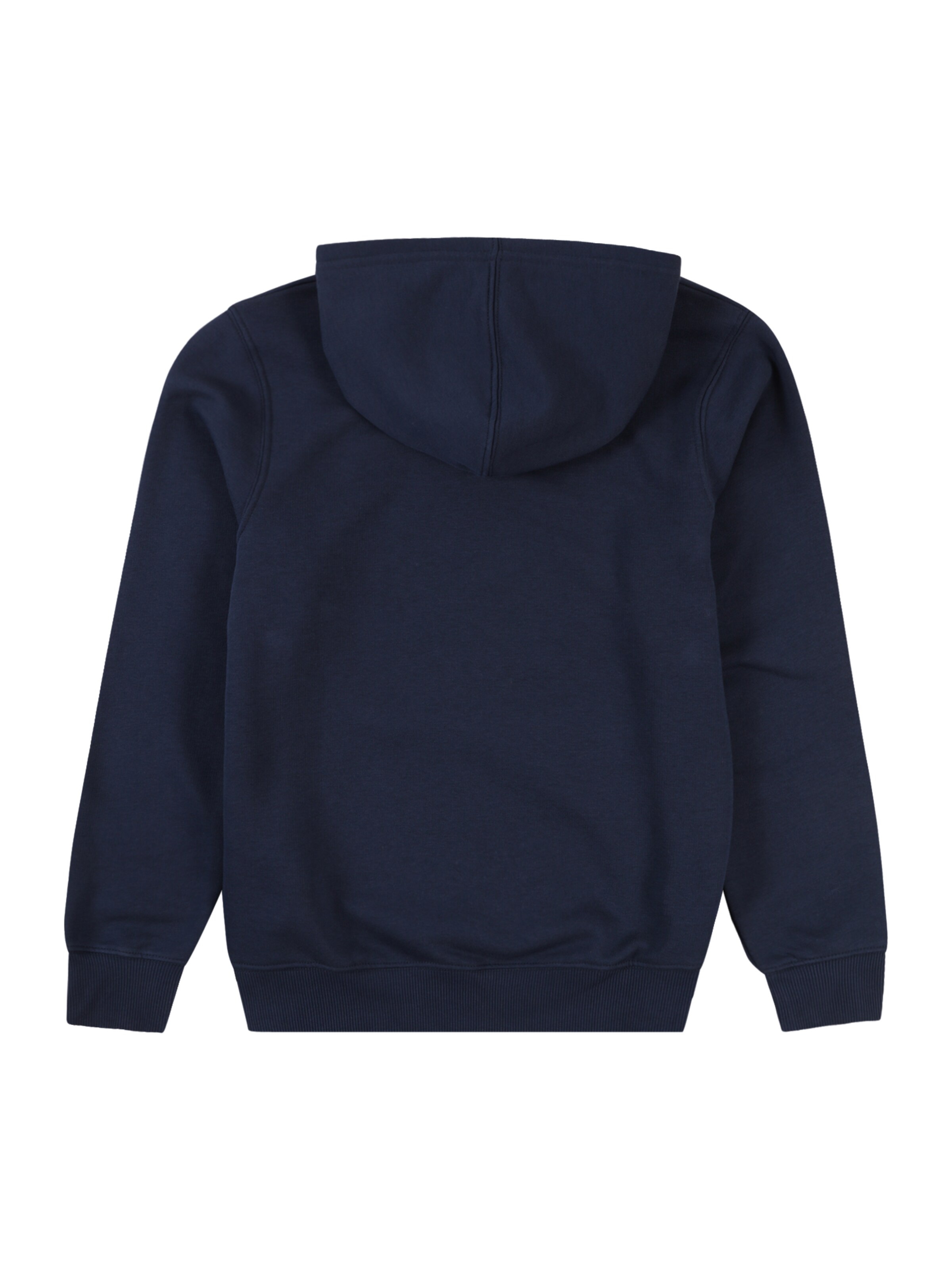 Levi's Kids Sweatshirt in Blau