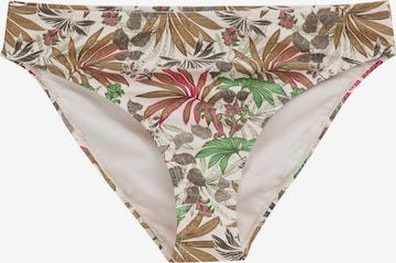 WE Fashion Bikinibroek in Beige: voorkant