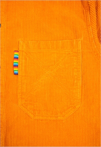 HOMEBOY Regular fit Overhemd 'Time Warp' in Oranje