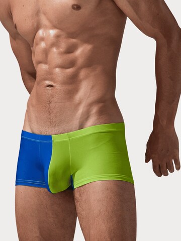 SEOBEAN Boxershorts in Grün: Vorderseite