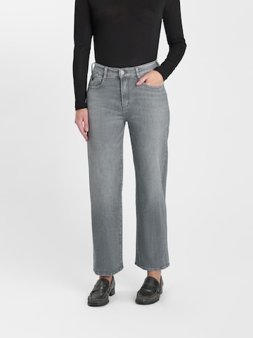 Le Temps Des Cerises Wide leg Jeans in Grijs: voorkant