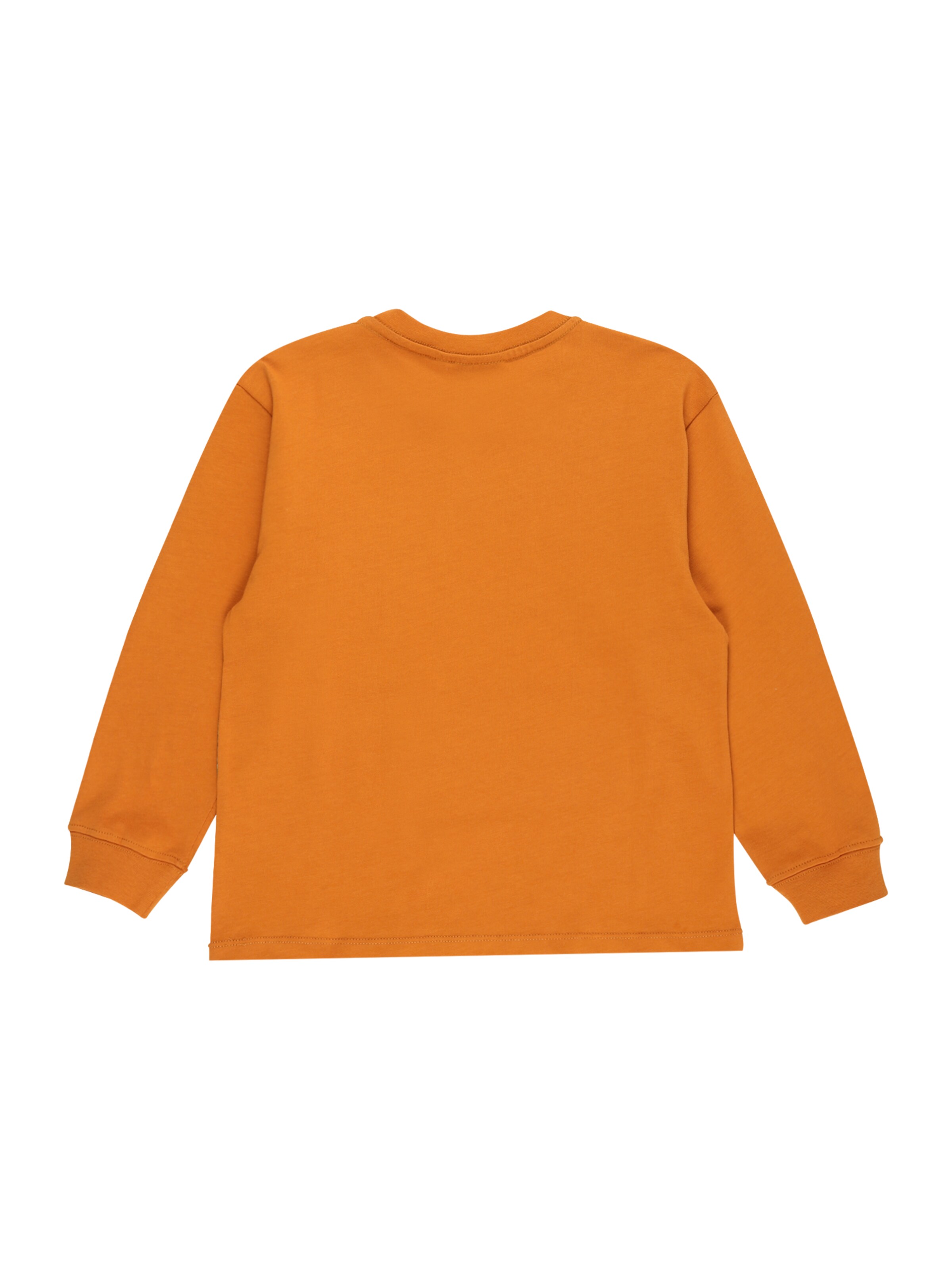 Kinder Kids (Gr. 92-140) Molo Shirt 'Rube' in Orange - SP36633