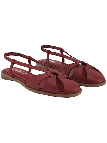 Limoya Sandals 'Damensandalen' in Red