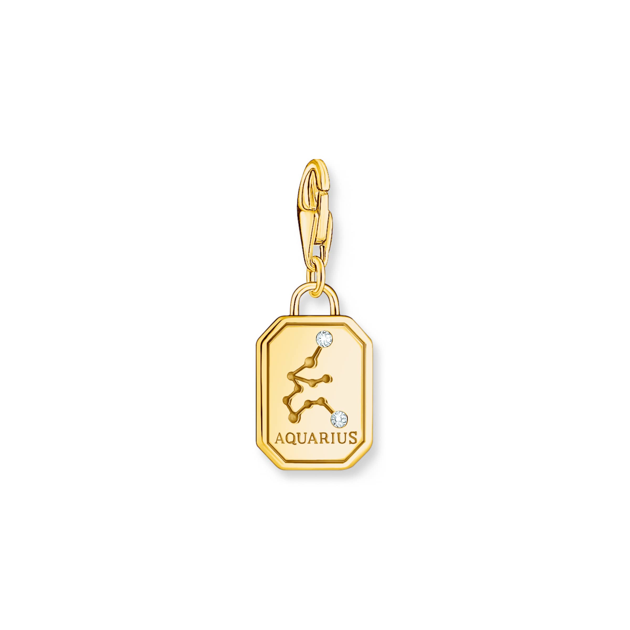 Thomas Sabo Anhänger 'Wassermann' in Gold