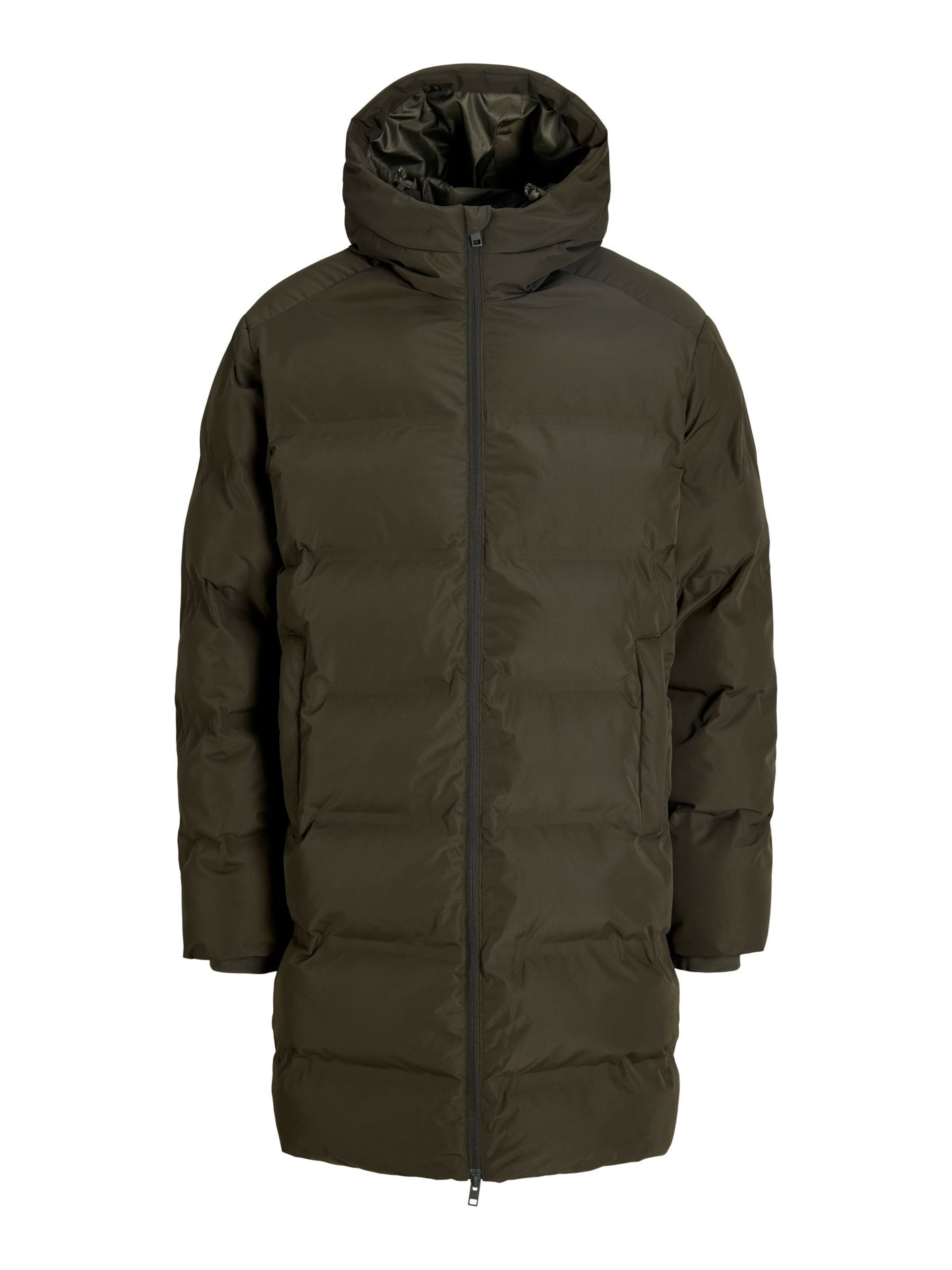 JACK & JONES Winterjas in Groen: voorkant