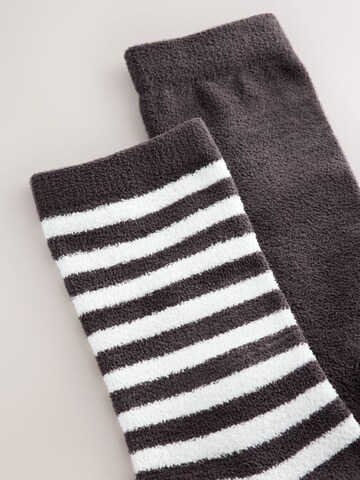 Next Socks in Brown