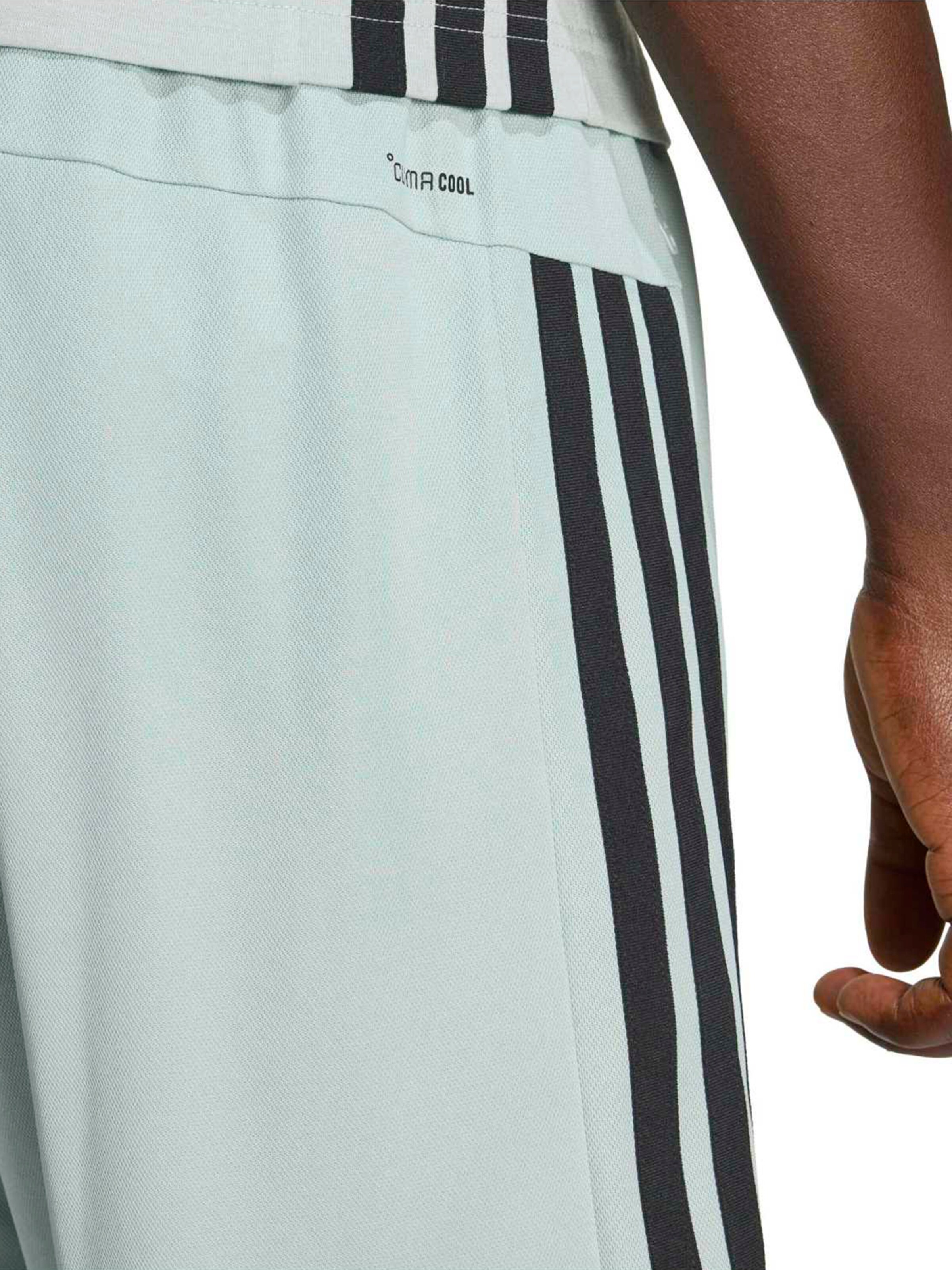 zaļš ADIDAS SPORTSWEAR Standarta Sporta bikses 'WE'