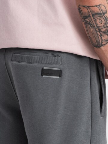 Ombre Regular Chino trousers in Grey
