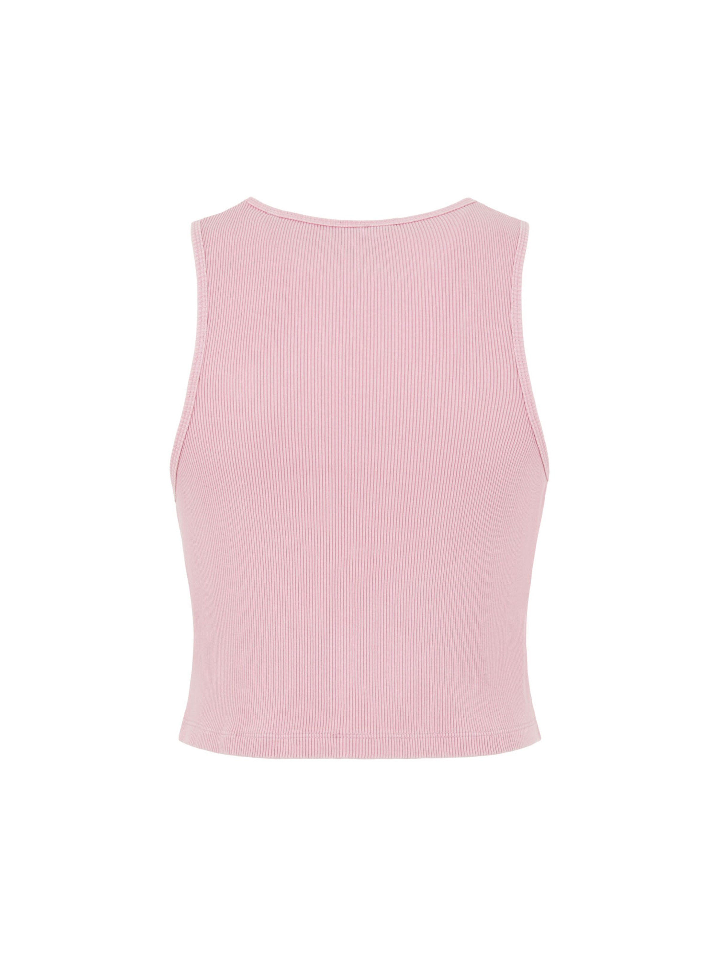 Top 'PLENTYWOOD' di DICKIES in rosa